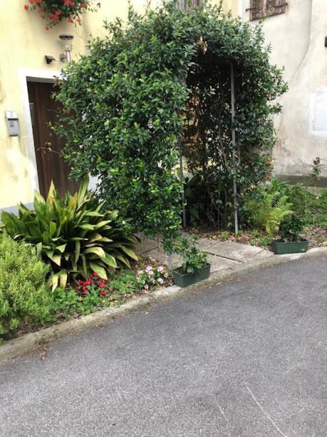 Il Casale Del Miele Bed & Breakfast Fraforeano Bagian luar foto